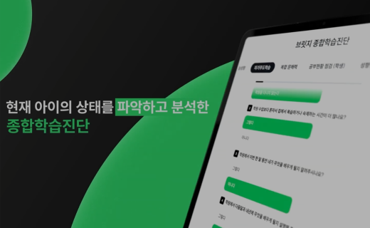 1:1 personalized study program, bridge project